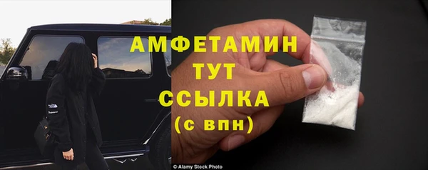 гидра Алексеевка