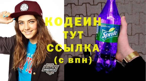 дурь Алексин