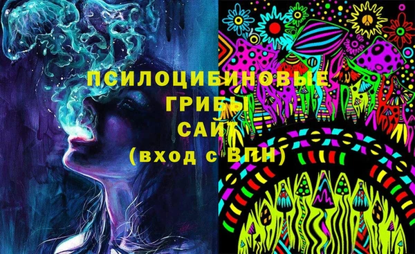 дурь Алексин