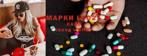 дурь Алексин
