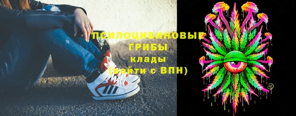 дурь Алексин