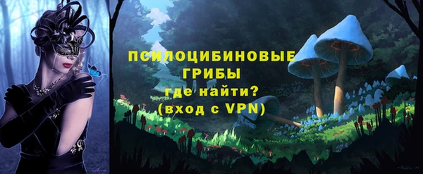 экстази Коряжма