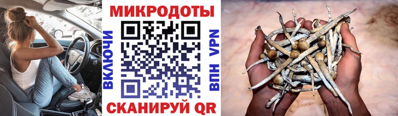 как найти закладки  Балашов  shop Telegram  Галлюциногенные грибы прущие грибы 